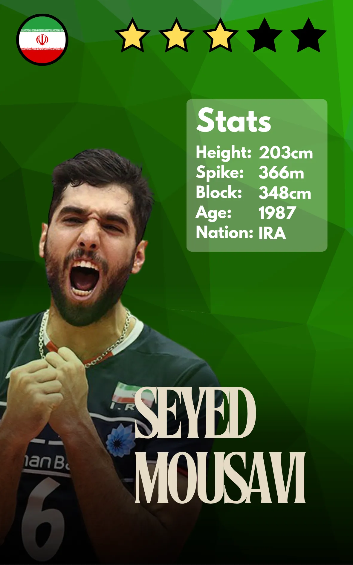 Seyed Mousavi
