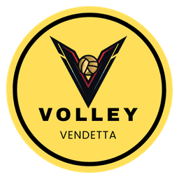 Volley Vendetta Manager